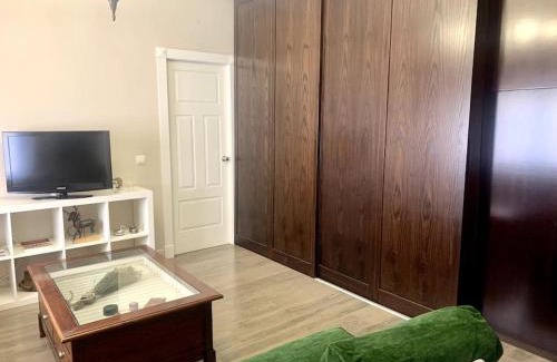 Ávila Apartamento | Tiger (wifi)