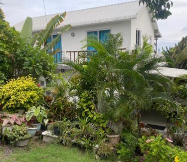 Coromandel Cama Y Desayuno | Tigraviers Bed & Breakfast