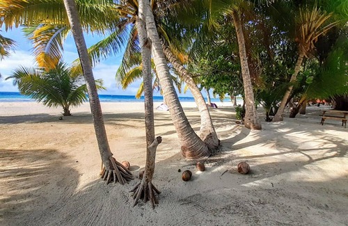 Tuherahera Casa | TIKEHAU - Bungalow Aito 2