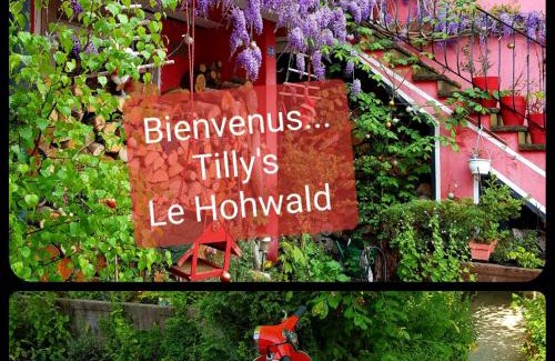 Le Hohwald Casa | Tilly's B&B and apartment house