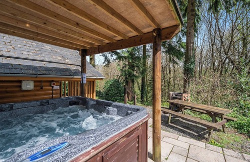 Westleigh Chalet De Esquí | Alojamiento de 1 habitaciones en Webbery, Bideford