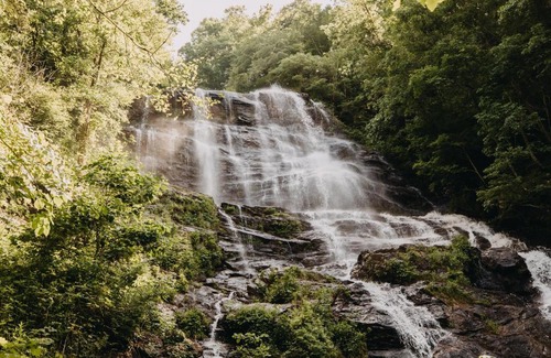 Dawsonville Otro | Timberline Glamping at Amicalola Falls