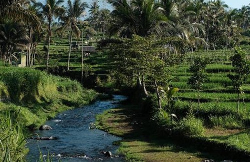 Kecamatan Pringgasela Otro | Timbooland Camp Site