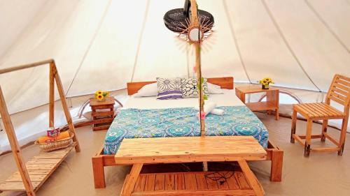 Isla Tintipan Otro | Tintipán Glamping