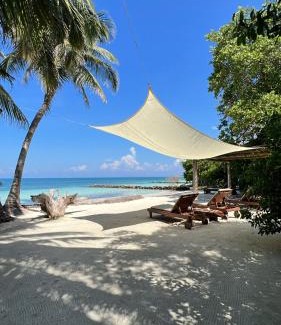 Isla Tintipan Hotel | Tintipan Cabana SalSiPuedes
