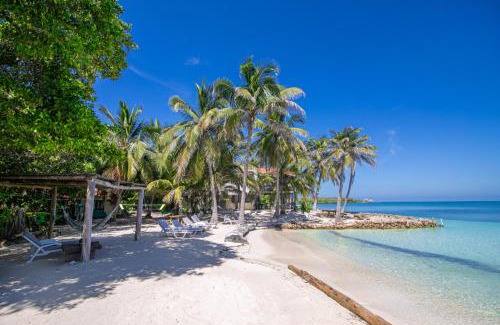 Isla Tintipan Hotel | Tintipan Cabana SalSiPuedes