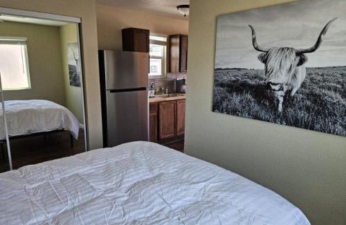 Quartzsite Casa | Tiny Cabin #19 American Trails