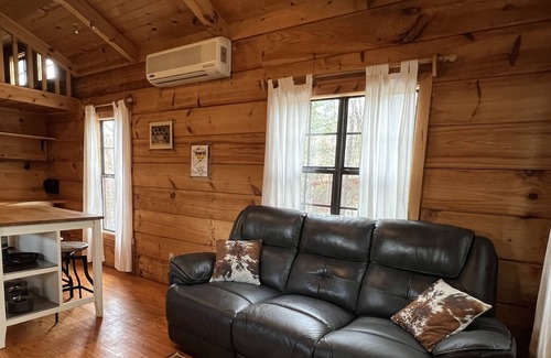 Franklin Cabina | Tiny cabin big mountain view,fast wifi,easy access