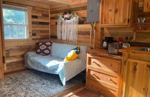 Oliverea Casa | Tiny Cat Tiny House