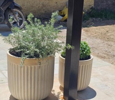 Nafpaktos Casa | Tiny Cottage lemon & pies
