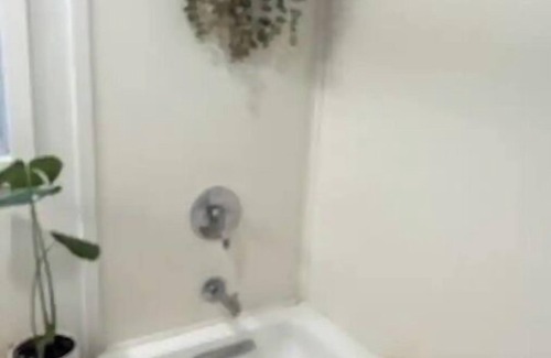 East New York Casa | TINY FULL Bdrm/Bthrm PRIVATE DRIVEWAY in BROOKLYN