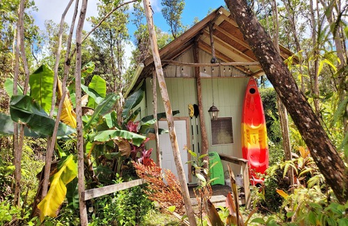 Fern Forest Cabina | Cabina privada # 2 2 baños con ducha de agua caliente y cocina