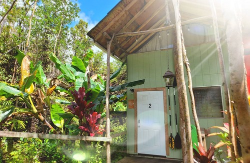 Fern Forest Cabina | Cabina privada # 2 2 baños con ducha de agua caliente y cocina