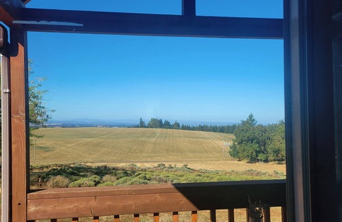 Silverton Cabina | "Tiny Home" at Buena Vista Lavender Farm with private porch and a stunning view