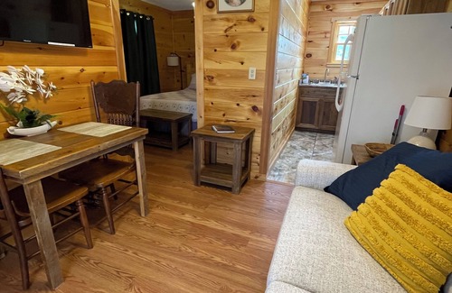 Sevierville Casa | Tiny house and tiny horses