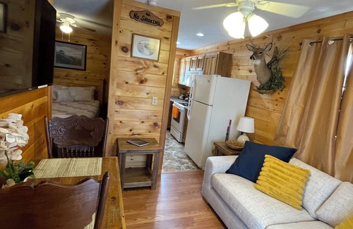 Sevierville Casa | Tiny house and tiny horses