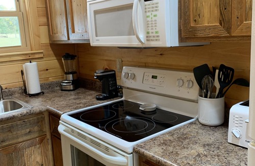 Sevierville Casa | Tiny house and tiny horses