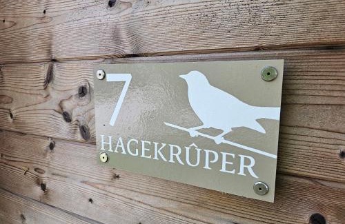 Westergeest Complejo | Tiny House De Hagekrûper