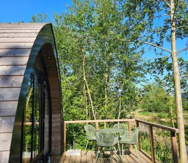 Westergeest Complejo | Tiny House De Spjocht