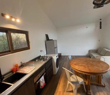 Valdivia Apartamento | Tiny house en el bosque a 10 min de Valdivia, Wifi, Smart TV, free Parking