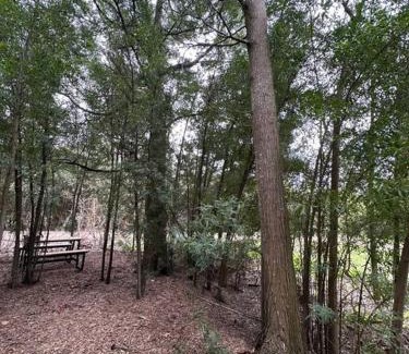 Chascomús Casa | Tiny house en pleno bosque a metros de la laguna