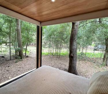 Chascomús Casa | Tiny house en pleno bosque a metros de la laguna