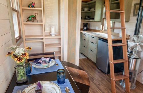 Hot Springs Cabina | ¡La experiencia de Tiny House en su mejor momento!