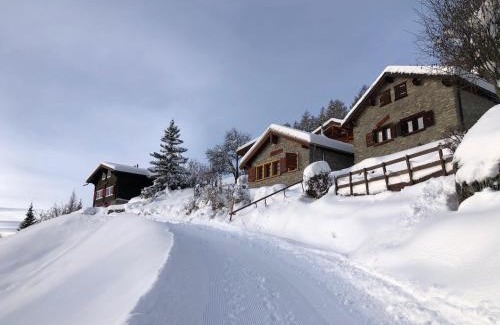Monteiller Chalet De Esquí | Tiny House facing the Alps - Ski in, Ski out