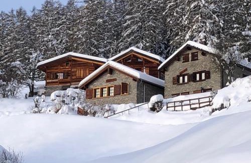 Monteiller Chalet De Esquí | Tiny House facing the Alps - Ski in, Ski out