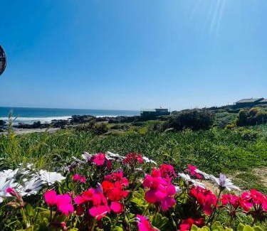 La Ligua Apartamento | tiny house frente al mar