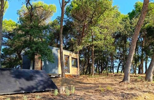 Mondragon Casa | Tiny-House Grand Confort - Salle de bain italienne - Lit King - 10 min A7