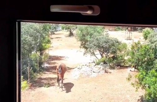 Sao Clemente Chalet De Esquí | Tiny House & Horses Alojamiento atípico en Loulé