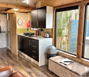 Llanybri Chalet De Esquí | Tiny House-Hot Tub-St Clears-Pembrokeshire-Tenby