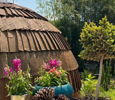 Mollenberg Apartamento | Tiny House Igluhut