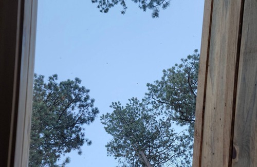 Deadwood Cabaña | Tiny House in the meadow on Two Bit Creek. Minutes from Deadwood and Sturgis.