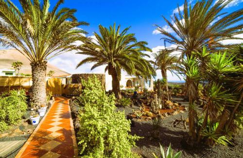 La Asomada Apartamento | Tiny House MADORA - sea view - amazing garden - quiet location - Bodegas & hiking trails nearby