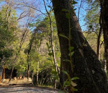 Bajos de Lircay Chalet De Esquí | Tiny house Roble en Vilches alto