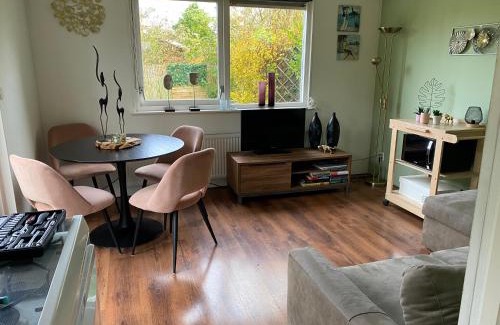 Schoorldam Chalet De Esquí | Tiny house Schoorl Bergen NH