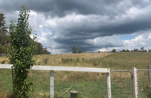 Avoca Cabina | Tiny house with acres of views.