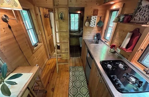 Newport Cabina | Tiny Búho una experiencia primitiva con comodidad en un alquiler affortable Rate