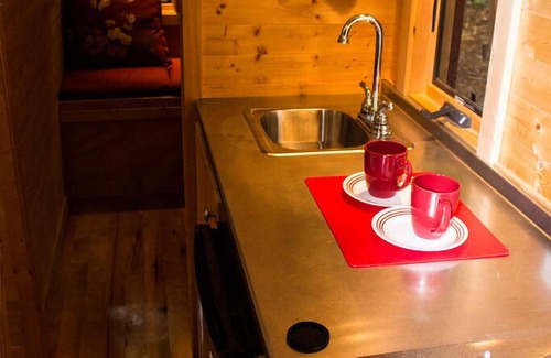 Newport Cabina | Tiny Búho una experiencia primitiva con comodidad en un alquiler affortable Rate