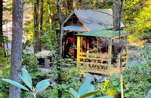 Newport Cabina | Tiny Búho una experiencia primitiva con comodidad en un alquiler affortable Rate