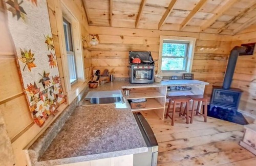 Hovland Cabina | Tiny Tuloon Off-Grid Amish crafted log cabin near the BWCA & SHT - Sled Dogs!