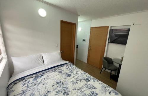 Concepcion Apartamento | TinyApartments - estudio pleno centro Concepción