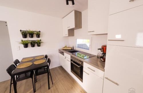 Sassenberg Apartamento | Tinyhaus am Feldmarksee