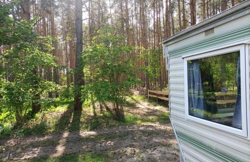 Cottbus Otro | Tinyhaus idyllisch am Waldesrand