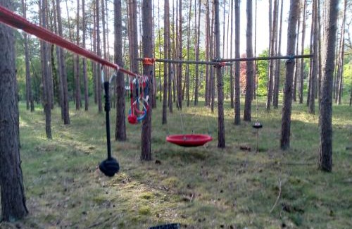 Cottbus Otro | Tinyhaus idyllisch am Waldesrand
