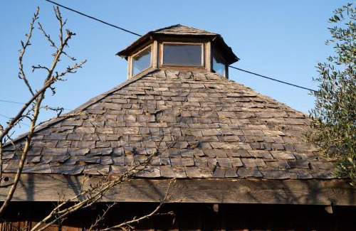 Monserrate Complejo | Tinyhouse Hexagonal in Organic Farm