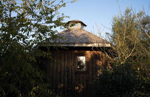 Monserrate Complejo | Tinyhouse Hexagonal in Organic Farm