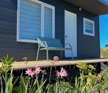 Puerto Varas Casa | Tinyhouses Mirador del Lago